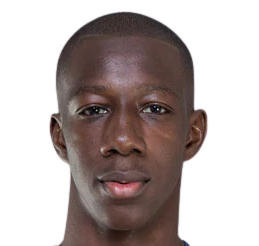 班迪奥古·法迪加