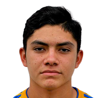 路易斯·罗纳尔多·纳赫拉·雷纳