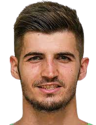 尼古拉·瓦西里